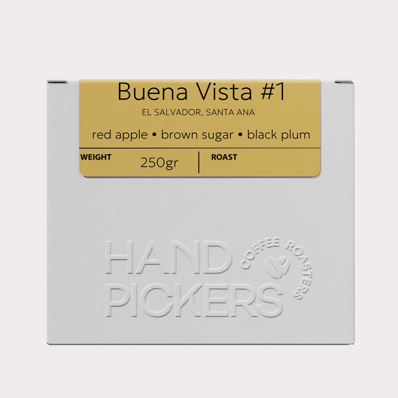 Buena Vista #1, El Salvador