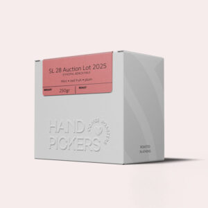 Gesha Village Auction Lot 2025 – SL28 Natural (Champions Reserve)