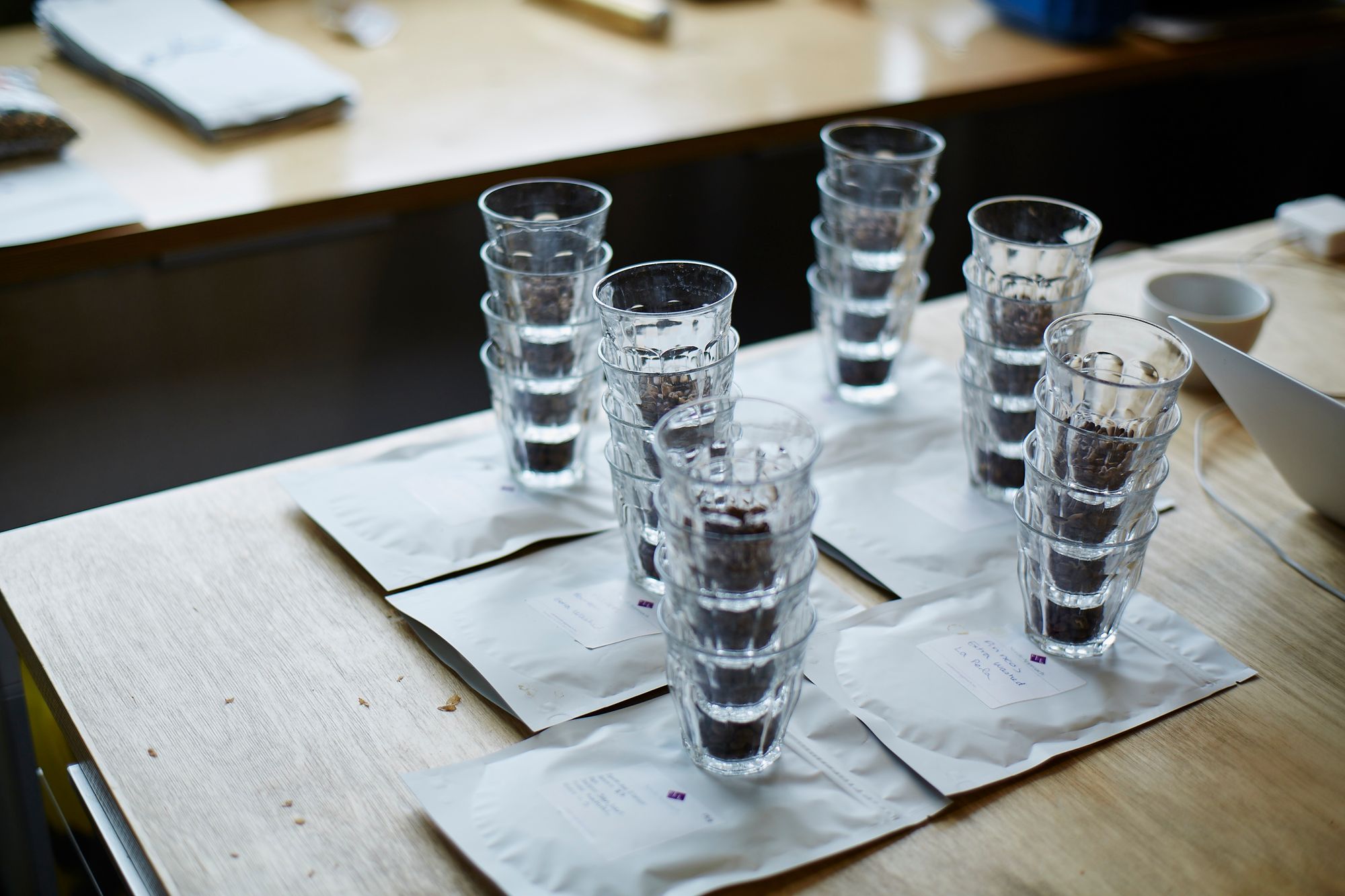 Oslo Spring Cupping: Πώς Επιλέγουμε τον Επόμενο Καφέ σας